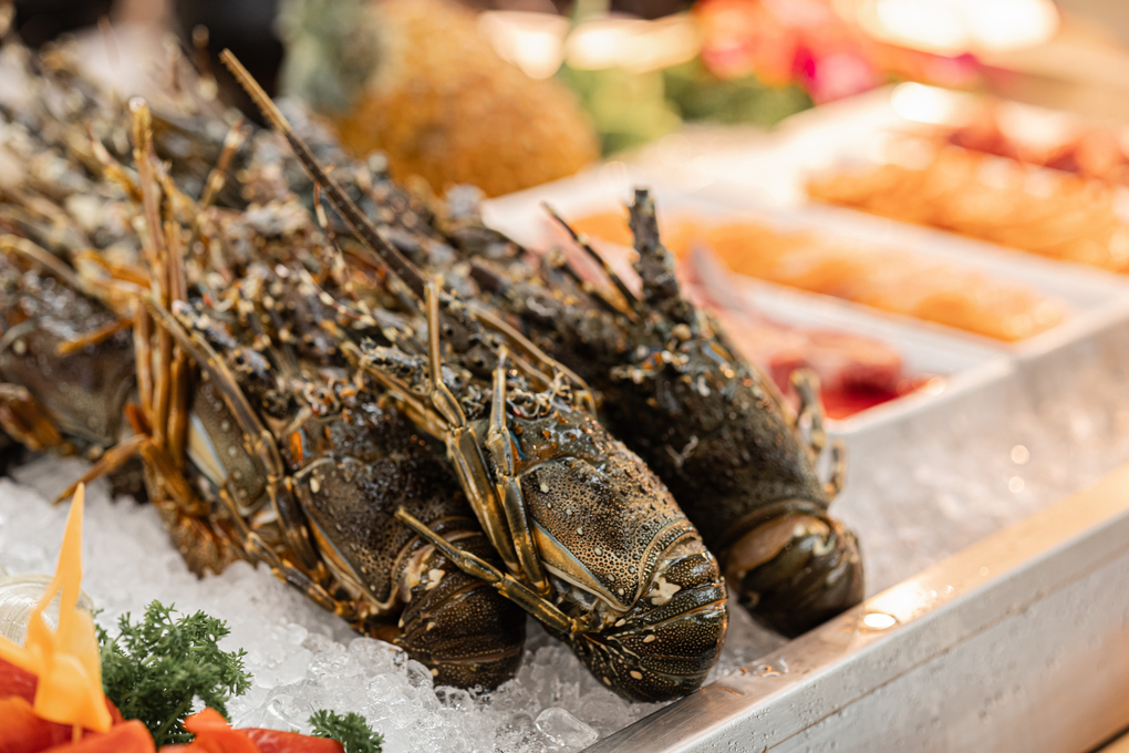 Hải sản cao cấp được tuyển chọn tại nh&agrave; h&agrave;ng JW Caf&eacute;. Ảnh: JW Marriott Hotel Hanoi