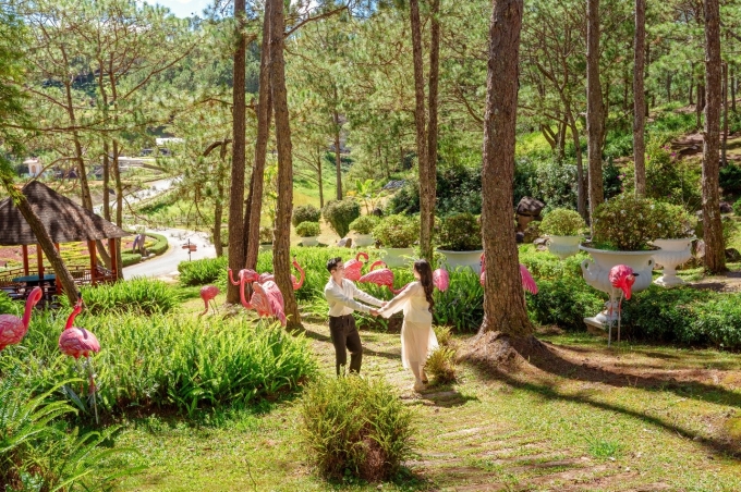 Kh&ocirc;ng gian thi&ecirc;n nhi&ecirc;n tại TTC World - Thung lũng T&igrave;nh y&ecirc;u - Đ&agrave; Lạt - Ảnh: DNCC