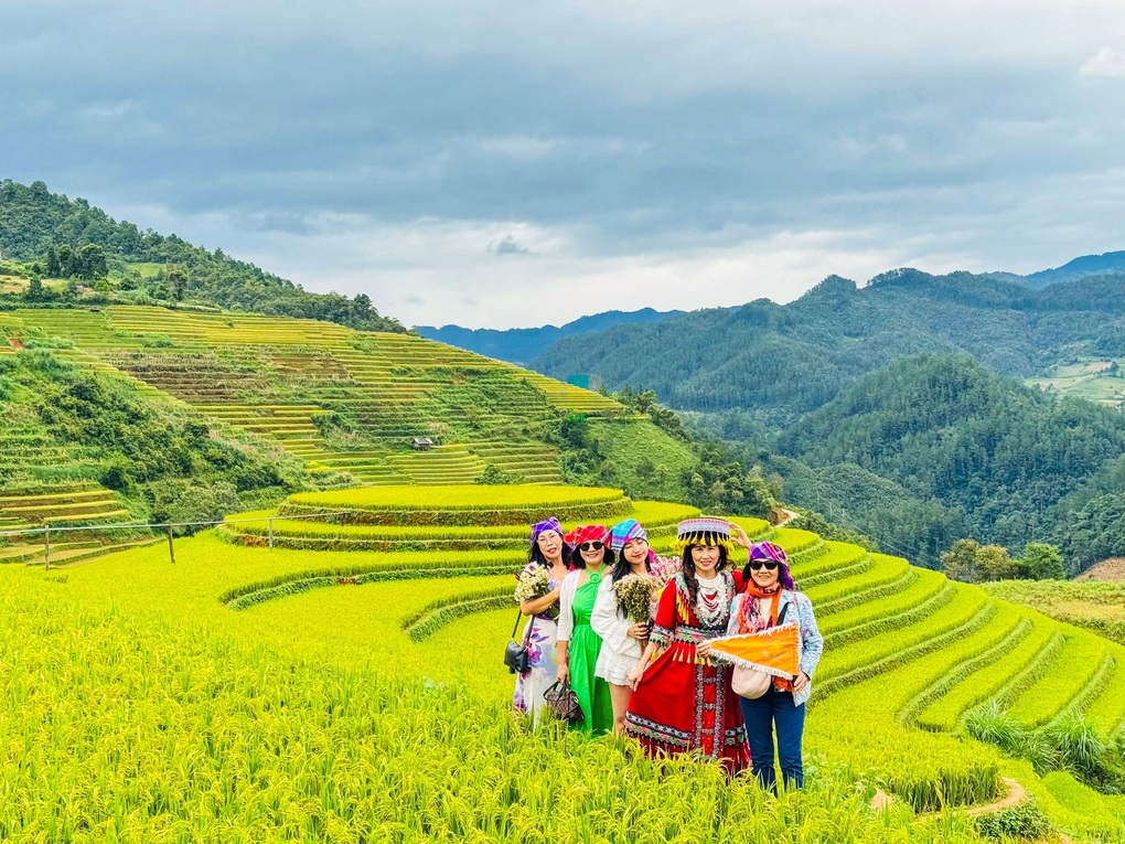 Du kh&aacute;ch check-in c&ugrave;ng m&ugrave;a l&uacute;a ch&iacute;n T&acirc;y Bắc. Ảnh: Đất Việt Tour
