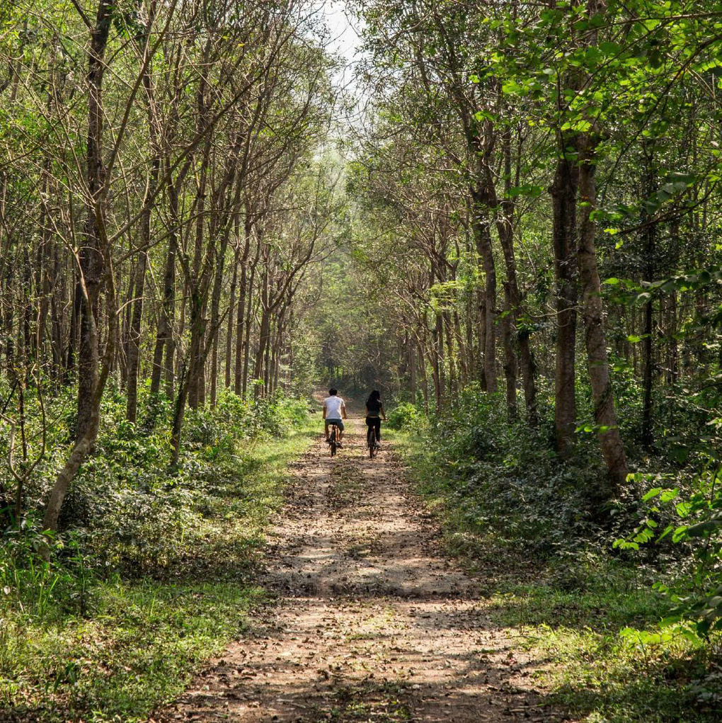 Thương hiệu c&ograve;n cung cấp c&aacute;c lựa chọn tour phi&ecirc;u lưu, kh&aacute;m ph&aacute; thi&ecirc;n nhi&ecirc;n cho du kh&aacute;ch c&oacute; nhu cầu tại một số điểm đến. Ảnh: Fusion