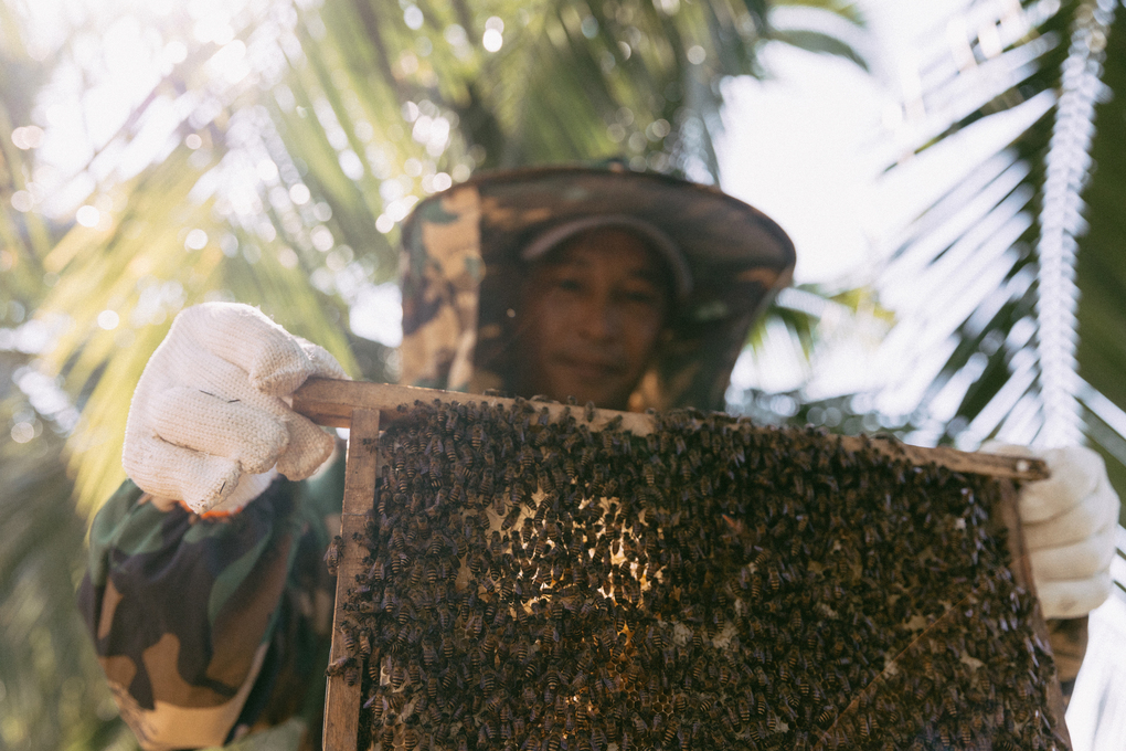 Sheraton Bee Farm cho ph&eacute;p kh&aacute;ch lưu tr&uacute; t&igrave;m hiểu quy tr&igrave;nh nu&ocirc;i ong. Ảnh: Sheraton Phu Quoc Long Beach Resort