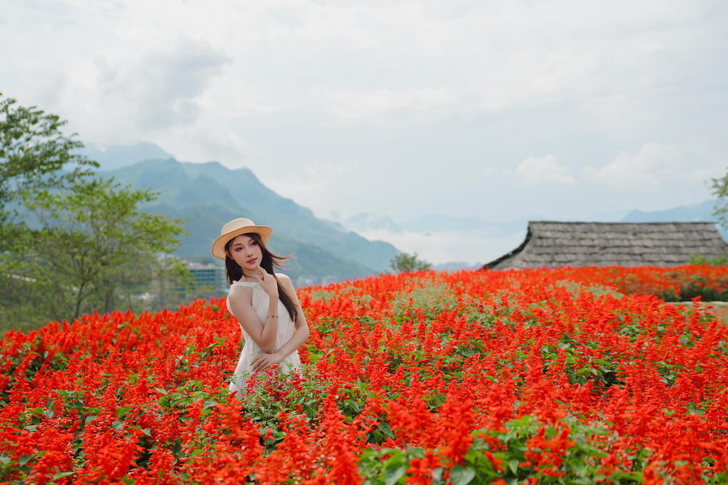 Du kh&aacute;ch check-in vườn hoa x&aacute;c ph&aacute;o. Ảnh: Sun Group