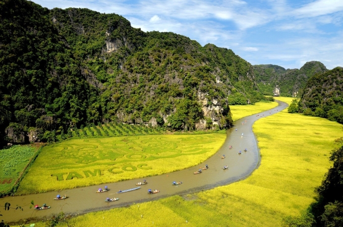 Tam Cốc với những d&atilde;y n&uacute;i đ&aacute; v&ocirc;i v&agrave; đồng l&uacute;a ch&iacute;n v&agrave;ng. Ảnh: Pullman Ninh B&igrave;nh